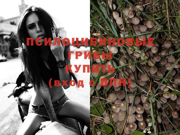 МДПВ Заводоуковск