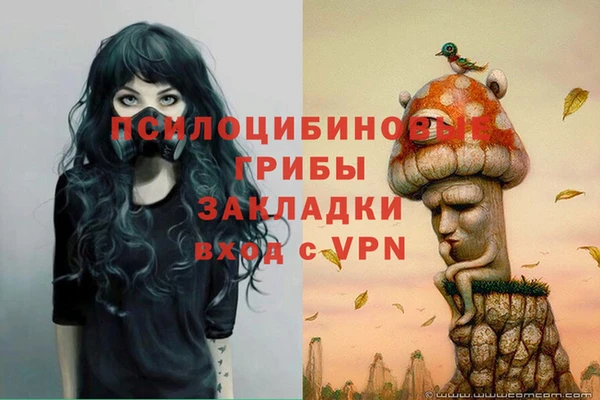 МДПВ Заводоуковск
