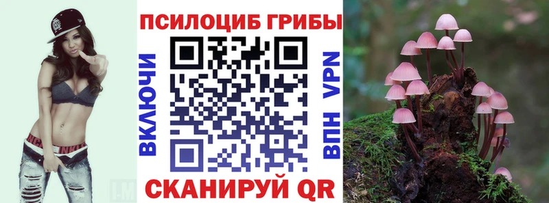 Псилоцибиновые грибы Psilocybe  где найти наркотики  Дедовск 