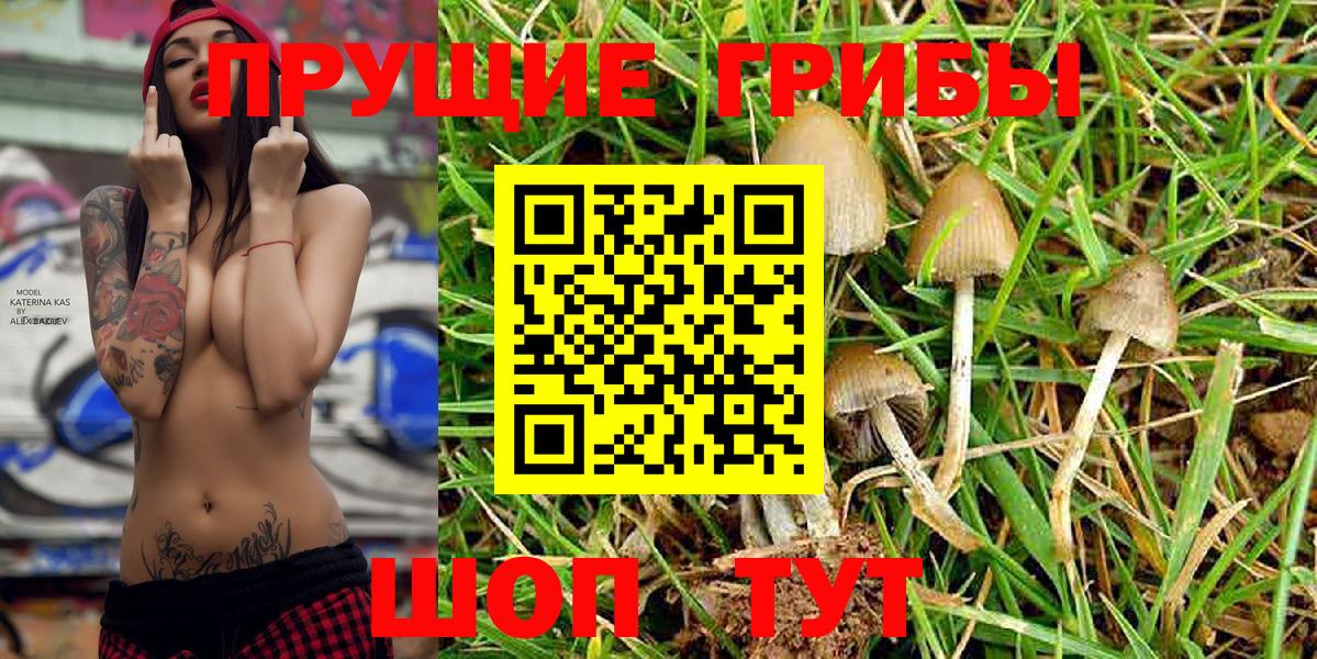 Галлюциногенные грибы MAGIC MUSHROOMS  сколько стоит  Дедовск  Вход с VPN 