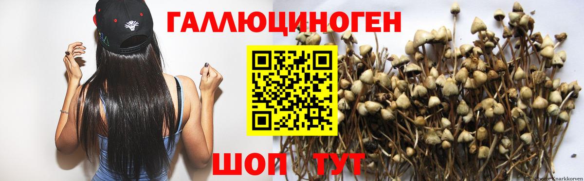 Псилоцибиновые грибы мухоморы Дедовск