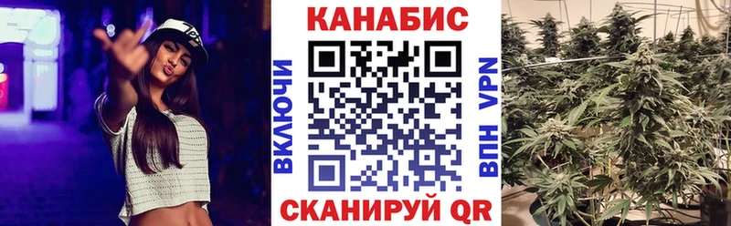Бошки марихуана Amnesia  Дедовск 
